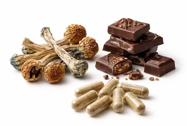 Magic mushrooms beginner's guide — dried psilocybin mushrooms, chocolate edibles, and microdose capsules