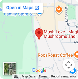 Map showing MycoAndCo at 2007 S State St, Ann Arbor, MI 48104