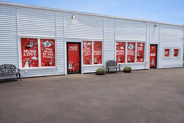 Magic Mushroom Dispensary - MycoAndCo Ann Arbor
